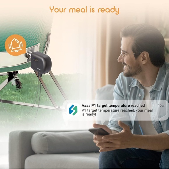 Inkbird smoker controller WiFi Temperature Controller - Picture 9 of 12